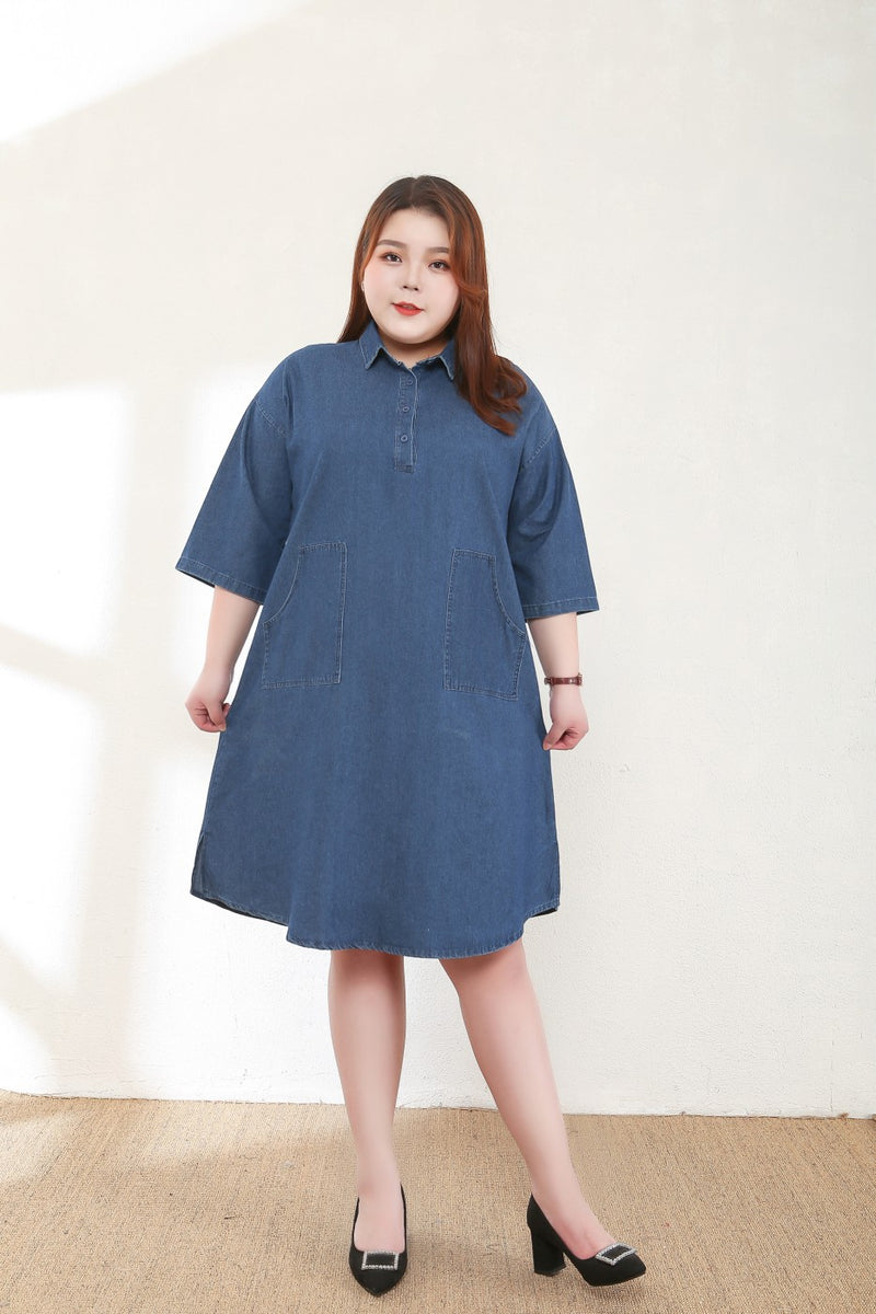 Chloe Plus Size Denim Shirt Dress – Pluspreorder