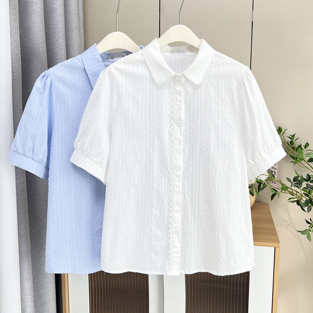 Plus Size Embroidery Button Down Short Sleeve Shirt (White, Blue)