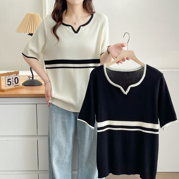 Plus Size Knit Notch Neck Monochrome Top