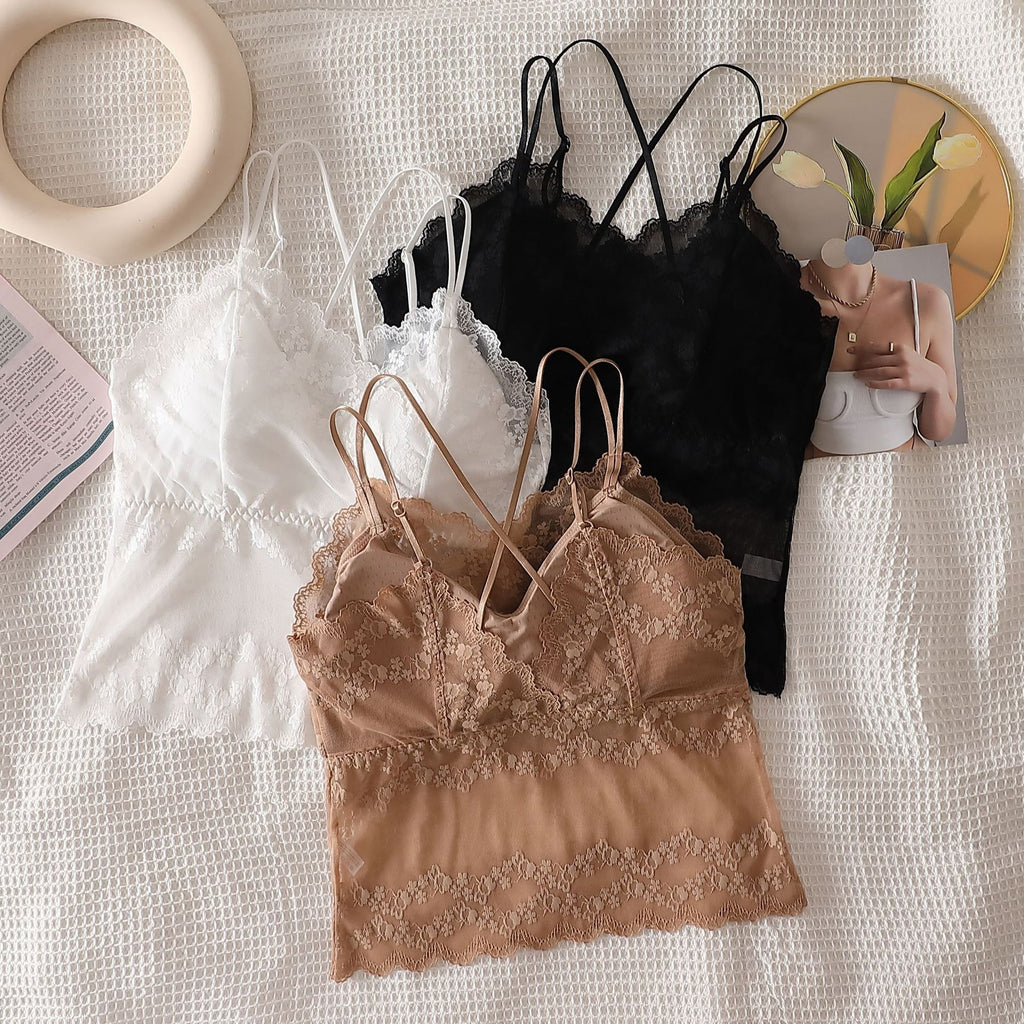 Plus Size Padded Lace Crop Top　－　Brown, White, Black