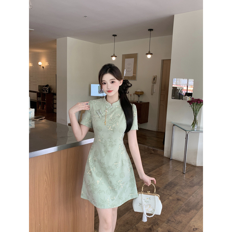 Plus Size Pastel Modern Oriental Cheongsam