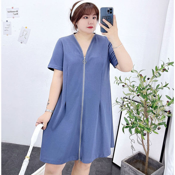 Plus Size V Neck Zipper A Line Dress