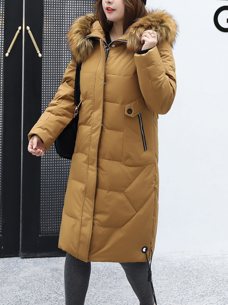 Bust up to CM) (L - 13XL) Starley Plus Size Women's Winter Jacket – Pluspreorder