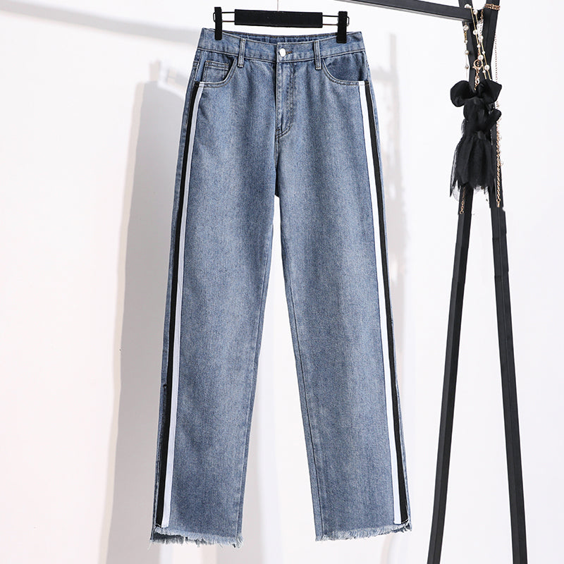 Kelis Plus Size Stripe Denim Frayed Jeans