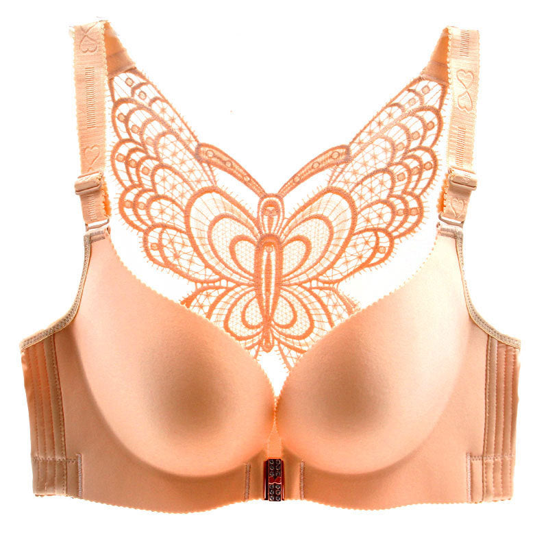 Buy Butterfly Lace Underwire Bra - Order Bras online 1122155500
