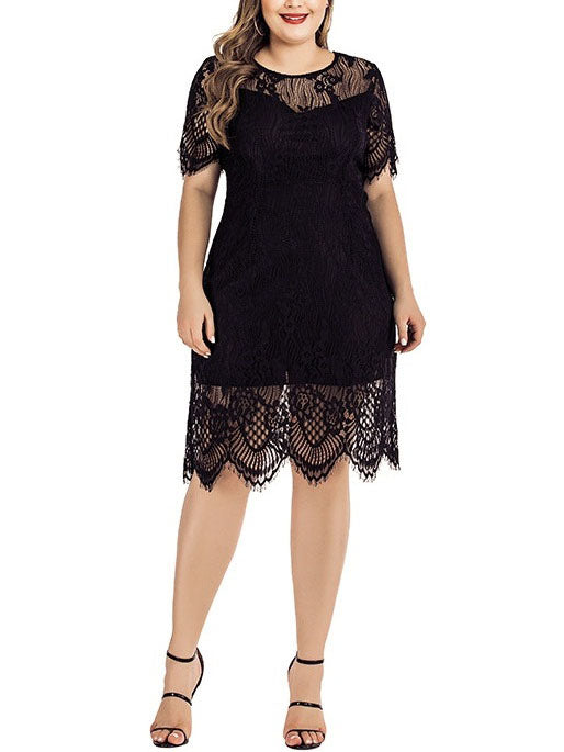 Tokka Plus Size Occasion Dinner Scallop Lace Short Sleeve Dress  (Black) (EXTRA BIG SIZE)