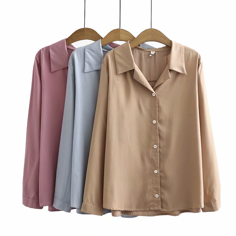 Ladeca Plus Size Long Sleeve Shirt Blouse