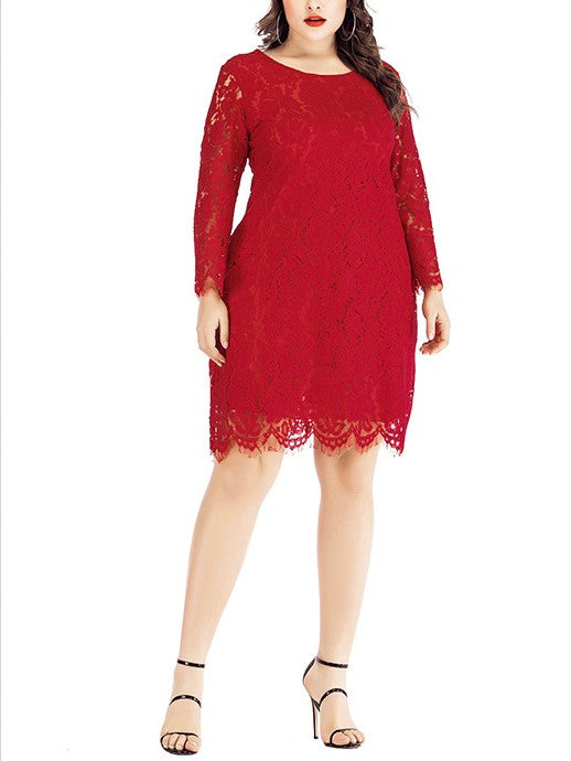 Wendy Plus Size Scallop Eyelash Lace Long Sleeve Dress (EXTRA BIG SIZE) (White, Red)