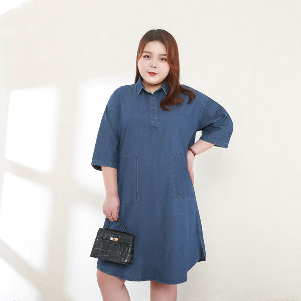 Chloe Plus Size Denim Shirt Dress