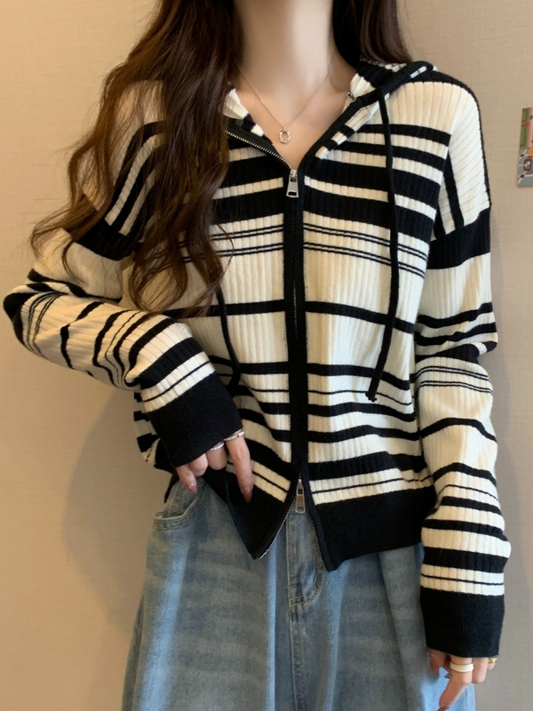 Plus Size Stripe Knit Hoody Jacket